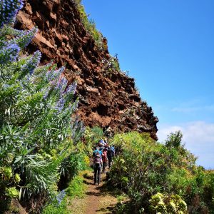 norte salvaje isla bonita tours