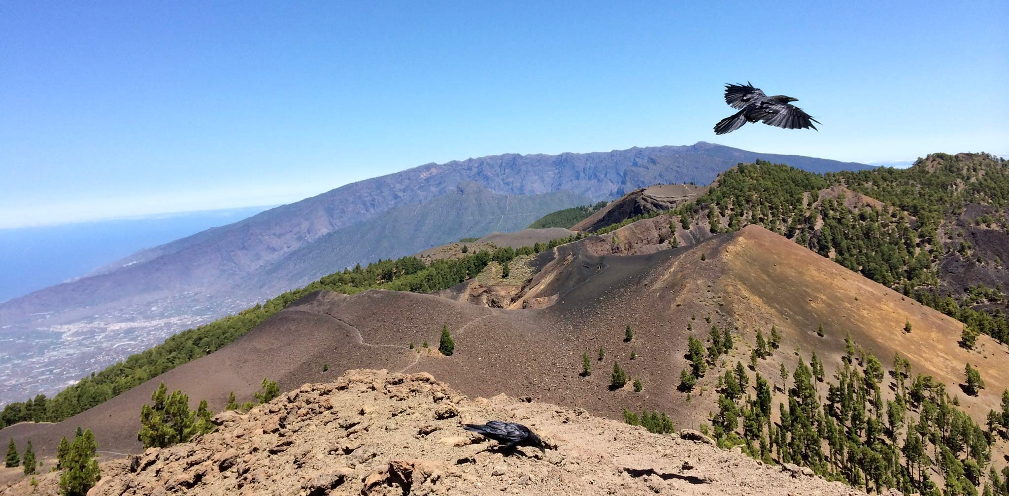 isla bonita tours la palma vulkan