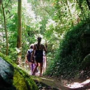 senderismo trekking bosque encantado