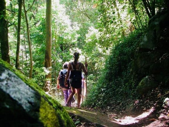 senderismo trekking bosque encantado