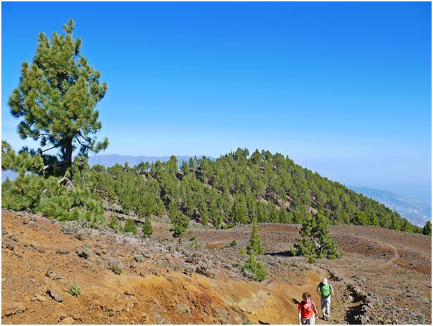 Die Vullkan Route La Palma