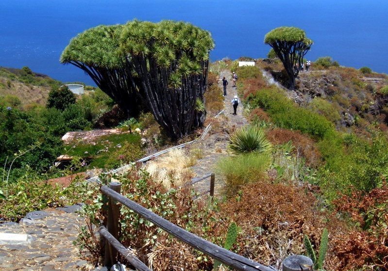 La Palma vakantie met kinderen; Bezienswaardigheden & Activiteiten - Reisliefde