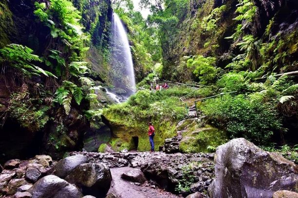 tilos cascada bosque laureles isla bonita tours