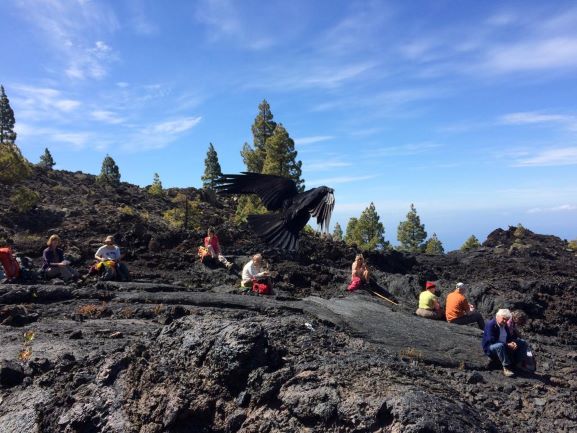 volcan bodega caminata cuervo