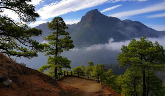 Caldera de Taburiente - Senderos La Palma