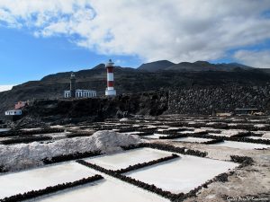 salinas faro