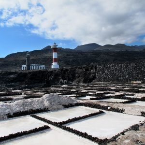 salinas faro