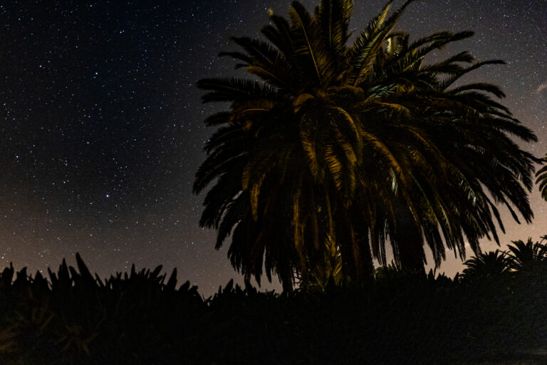 star gazing finca principal isla bonita tours