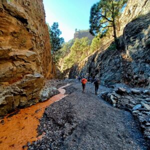 river bed caldera taburiente isla bonita tours