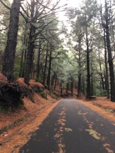 carretera el pilar
