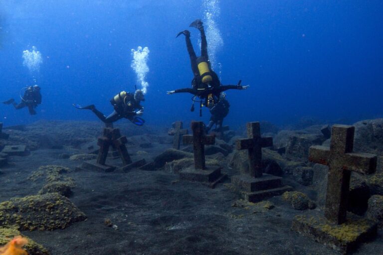 buceo la palma fuencaliente