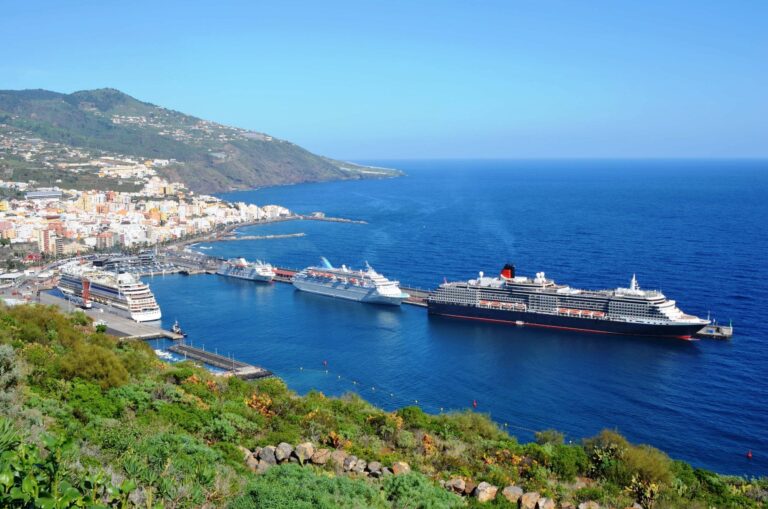 crucero puerto la palma