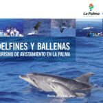 delfines la palma turismo