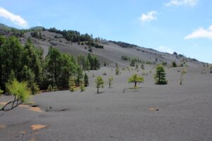 dunas ceniza cumbre vieja