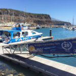 puerto tazacorte excursiones delfines la palma