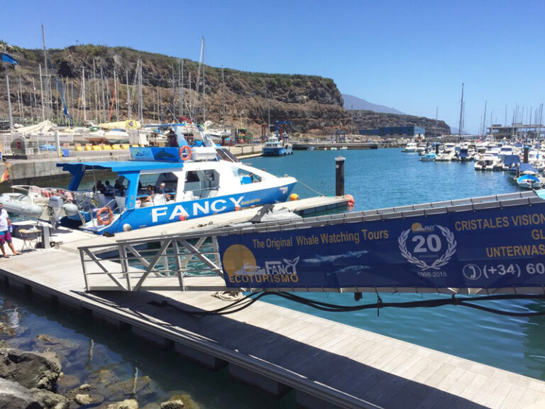 puerto tazacorte excursiones delfines la palma