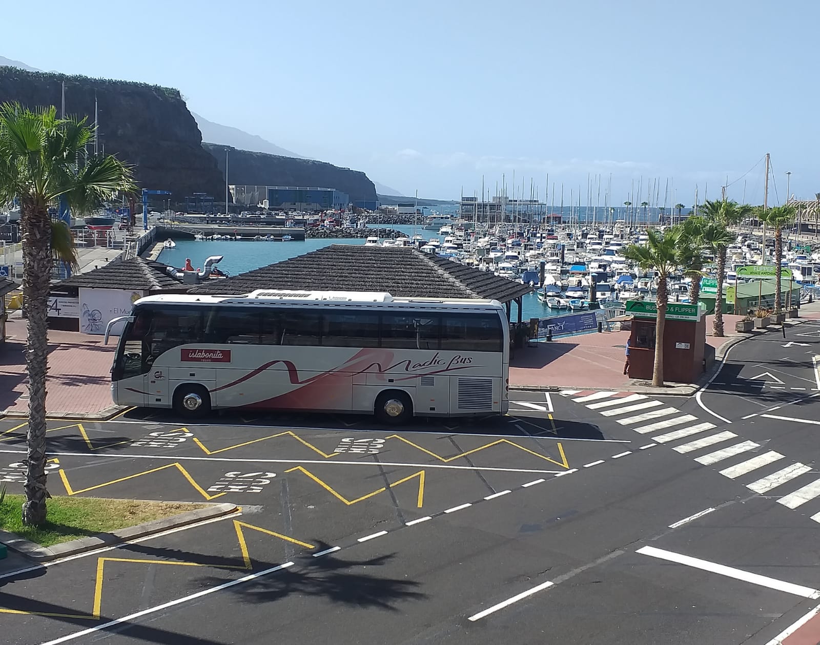 autobus la palma excursiones privadas isla bonita tours