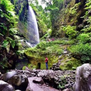 CUBO DE LA GALGA hike and Los Tilos Forest