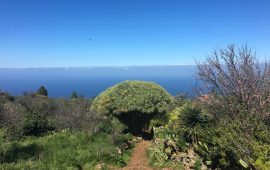 caminos-ensueno-lapalma