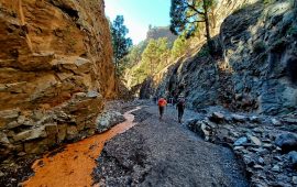 river bed caldera taburiente isla bonita tours