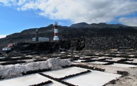 salinas faro