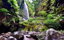 tilos-cascada-bosque-laureles-isla-bonita-tours